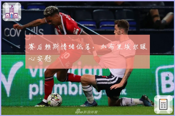 赛后赖斯情绪低落，加布里埃尔暖心安慰