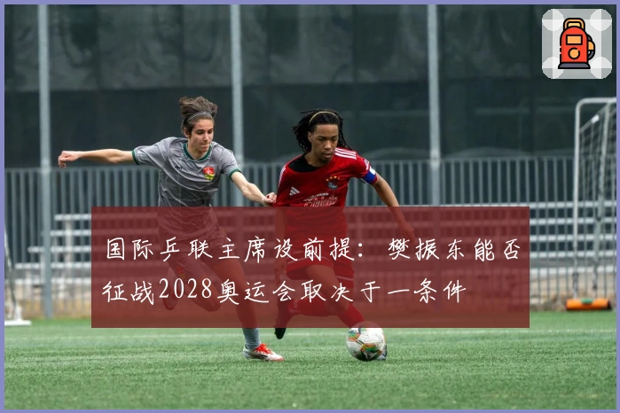 国际乒联主席设前提：樊振东能否征战2028奥运会取决于一条件